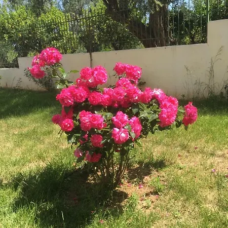 Lovely Appartments Lygia Korinthias *