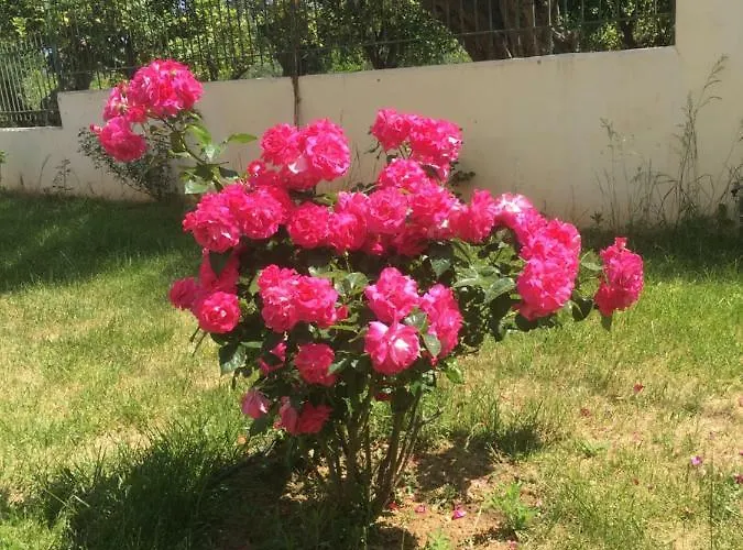 Lovely Appartments Lygia Korinthias *